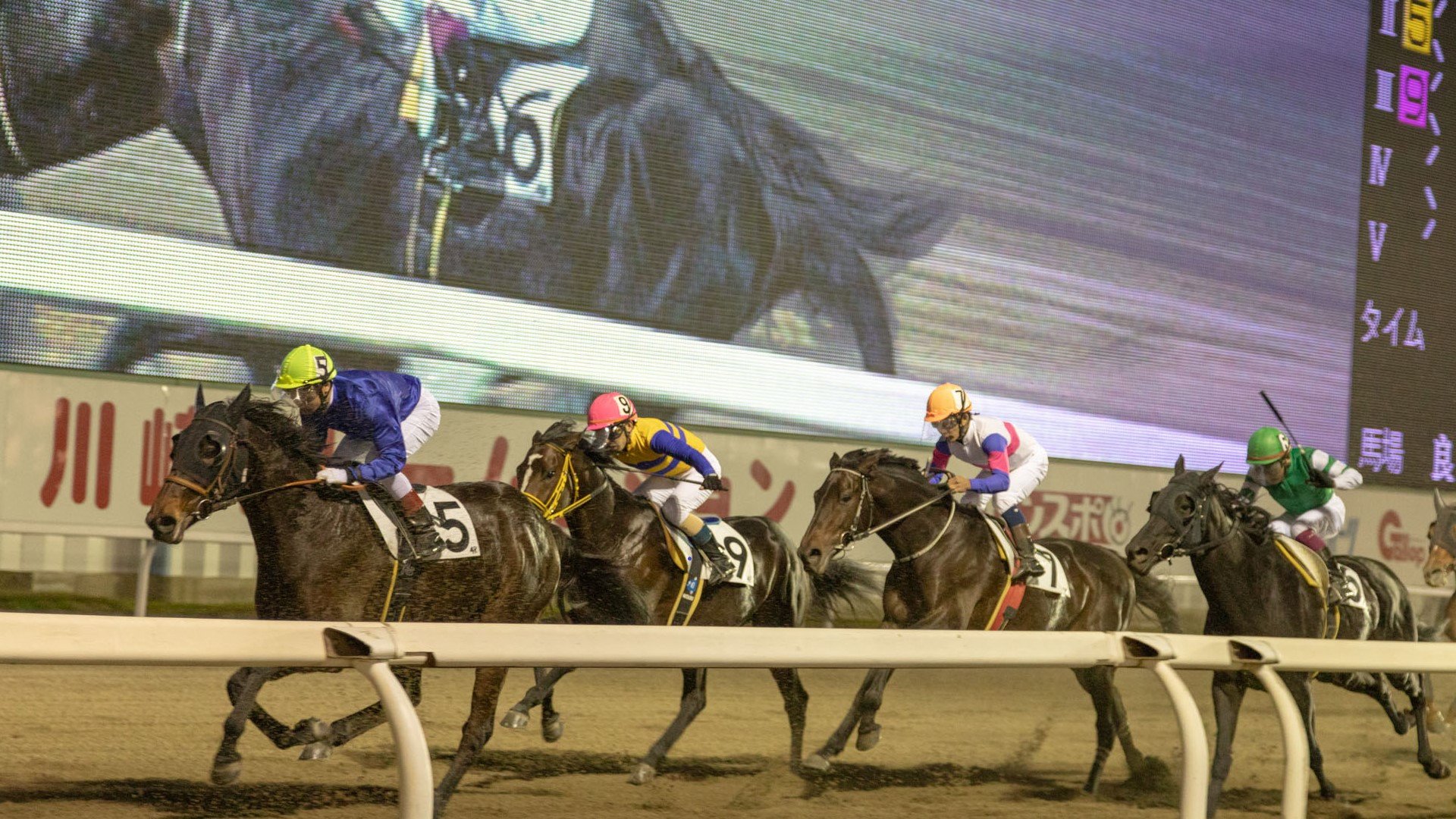 🏇 가와사키 경마장 (카와사키 케이바조) 이미지 6